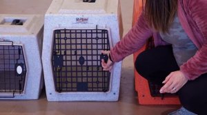 What Size Crate Does My Dog Need?