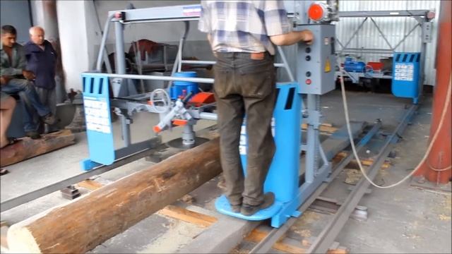 Пилорама дисковая