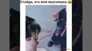 Отойди, это моя вкусняшка