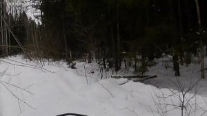 IRBIS SF200L. Покатушки.