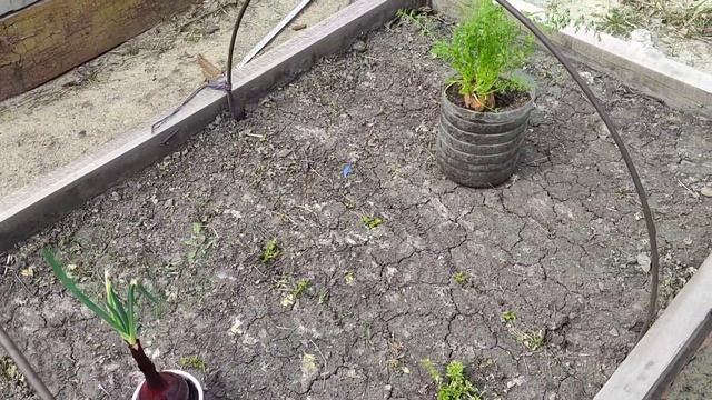 запахло весной