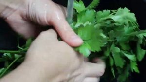 3 Заготовки Для Первых Блюд На Зиму: Заправка для борща. Заправка для щей. Рассольник с перловкой