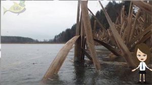 Как наловить много ротана в январе? Секреты ловли ротана зимой в январе!