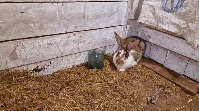 а я вам говорил... смотреть онлайн