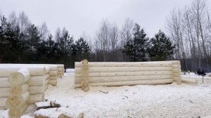 Сруб дома из сосны