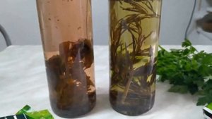 Как я готовлю уксус с прованскими и кавказскими травами?