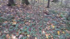 Обсуждаю сериал Палач. 1965 год Москва. Майор Черкасов. Тонька Пулеметчица.