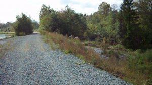 Экскурсия и прогулка по местам отдыха жителей Вагонки. Исинский пруд. 29 августа 2024 года. Н Тагил