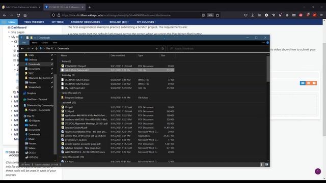 How to submit a Scratch Lab in Moodle смотреть онлайн