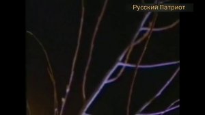 В канун праздника Введения Во Храм Пресвятой Богородицы в ночь с 3 на 4 декабря расспускается верба