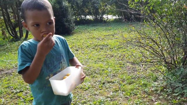 11.09.21.Afro-russians in Russia. Дети мулаты в России.#семья#многодетность смотреть онлайн