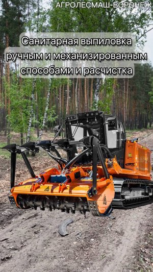 Санитарная расчистка лесного участка мульчером PRIME TECH PT-300