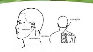 Исюэтун Тяньши