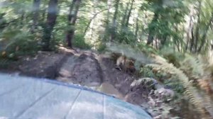 Дорога на Милоградовку