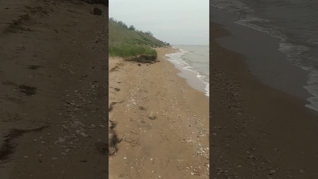 Тот самый заброшенный пляж где нашёл ноготь морской русалки.