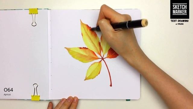 Sketchmarker Test Drawing #4 / Рисую маркерами Sketchmarker осенний листок