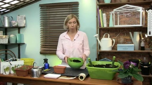 Дачные сезоны 25 11 17 смотреть онлайн