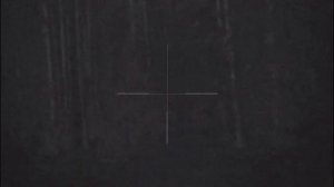 Pulsar Digisight Ultra N355 - различные режим наблюдения от 300 до 500м в небольшой снегопад. (2)