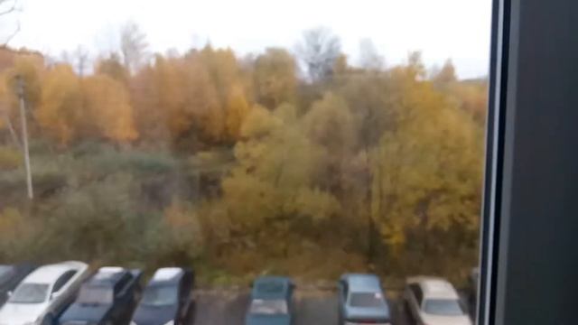 МЫ В БЕЖЕЦКЕ (06.10.19 / БАБУЛЯ / ГОТОВИМ БЛИНЫ)! смотреть онлайн