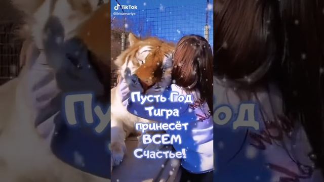 приколы из тик тока