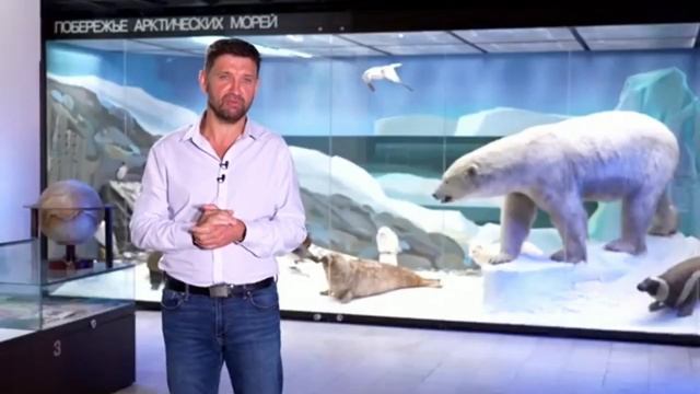 Говорим о важном с М.Д. Шпаро 11 сентября 2023 год тема там, где Россия видеоролик для 1-11 классов