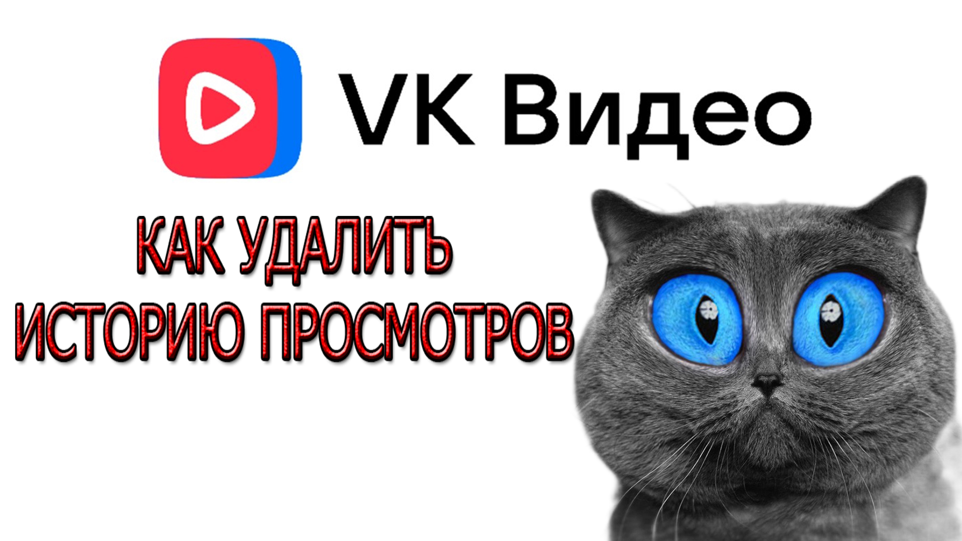 Как удалить историю просмотров видео в VK