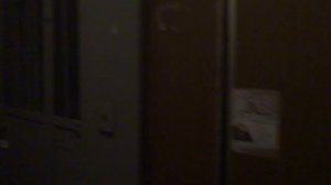 Электрический лифт V=0,71 м-с, грузоподъемность 320 кг (2389)