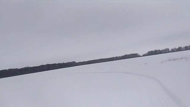 Мото-собака (11.03.2023) смотреть онлайн