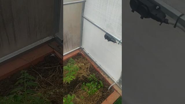 умная теплица. часть умного дома. какая должна быть домашняя теплица.