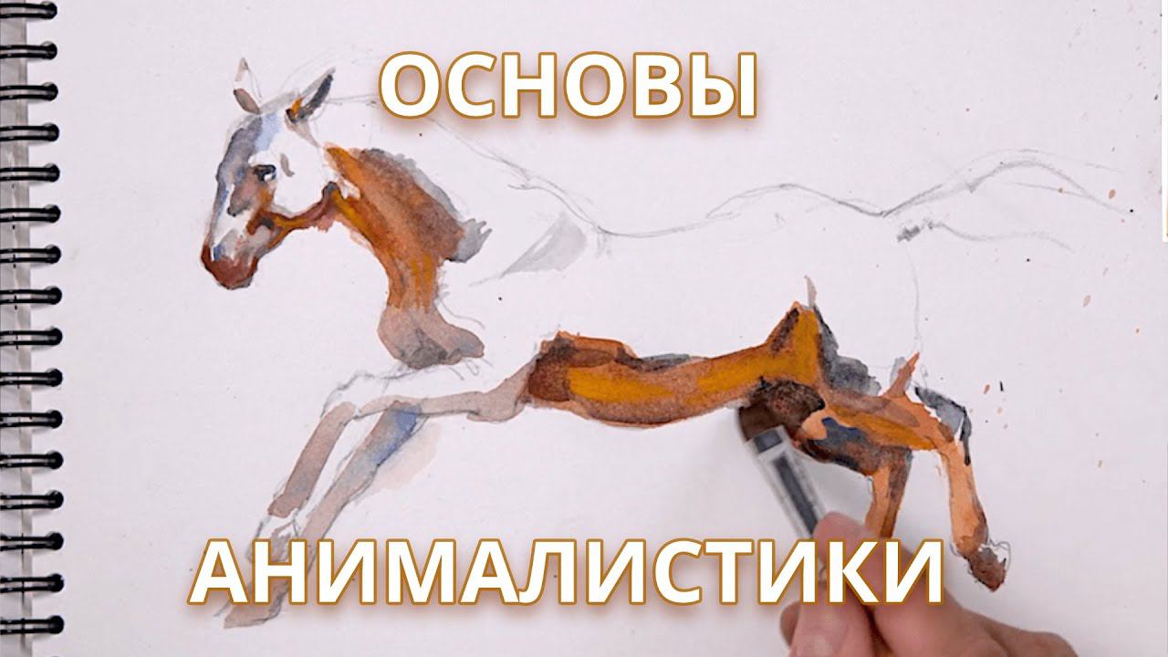 Основы анималистики. Обзор курса