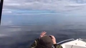 Рыбалка на Базе Отдыха "Александровский Причал"