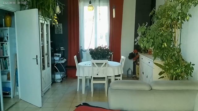 Test de la Caméra 4K UHD 48MP PEAWOLCY 254KS смотреть онлайн