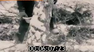 Междуреченск 1978 год немного истории
