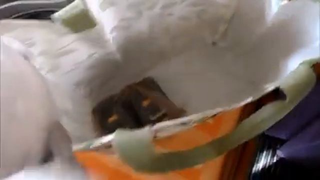 Гортензию в августе необходимо удобрить, так как она любит кислую почву. Удобрять по холодку. смотреть онлайн