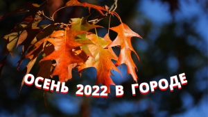 Осень 2022 в городе..mp4