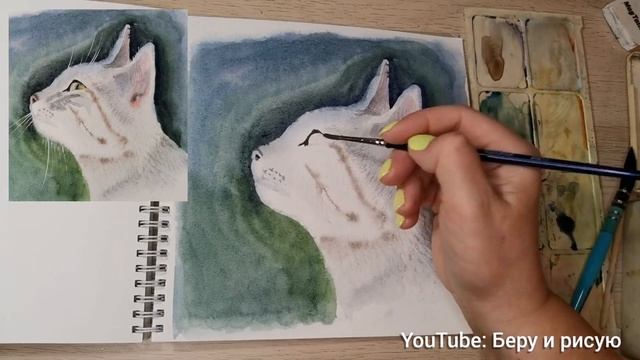 Как рисовать кошку акварелью.