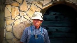 Пересадка можжевельника из леса medium