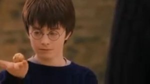 Легендарный Пиратский Перевод Гарри Поттера (Тренировка, урок Левитации)