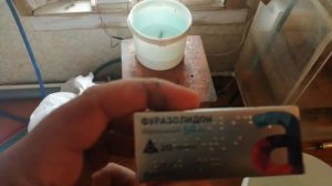 Клариевый сом заболел. Лечение сапролегниоза у рыб.