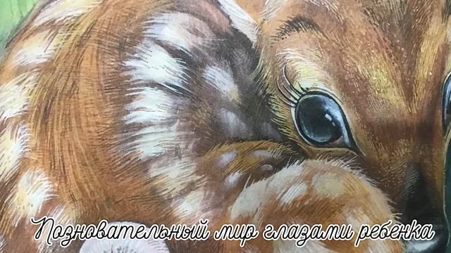 БЕМБИ- Глава 1. Появление на свет ~сказки на ночь~ смотреть онлайн