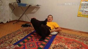 Как вылечить боль в пояснице в домашних условиях.