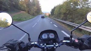 Honda FX 650/SLR650 Vigor Eindruck