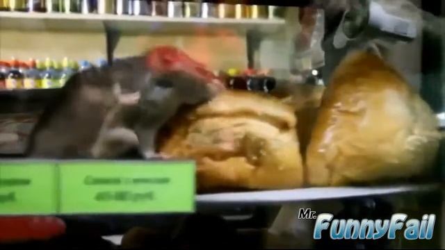 Подборка приколов с пьяными девушками!!!