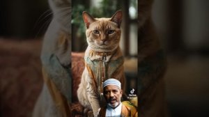 Кошка в исламе. Мусульмане и кошки