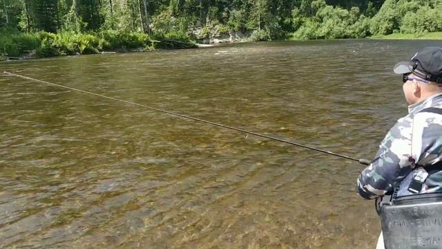 Таймень, Хариус, Горные реки Кузнецкого Алатау. Июль 2021 смотреть онлайн