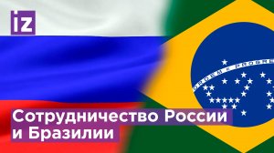 Путин и Болсонару обсудили сотрудничество России и Бразилии. Что изменится? / Известия