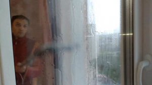 Мойка окон пылесосом Bosch | Влажная уборка