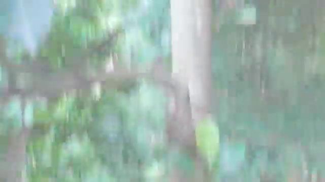 An evolutionary oddity смотреть онлайн