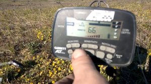 Проблема с Garrett At Pro