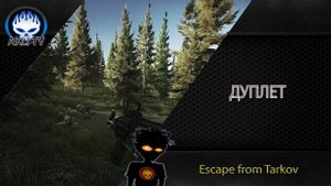 Дуплет  или что такое не смотреть по сторонам